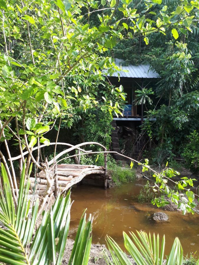 Sumatra Ecolodge Sungaipisang Exterior foto