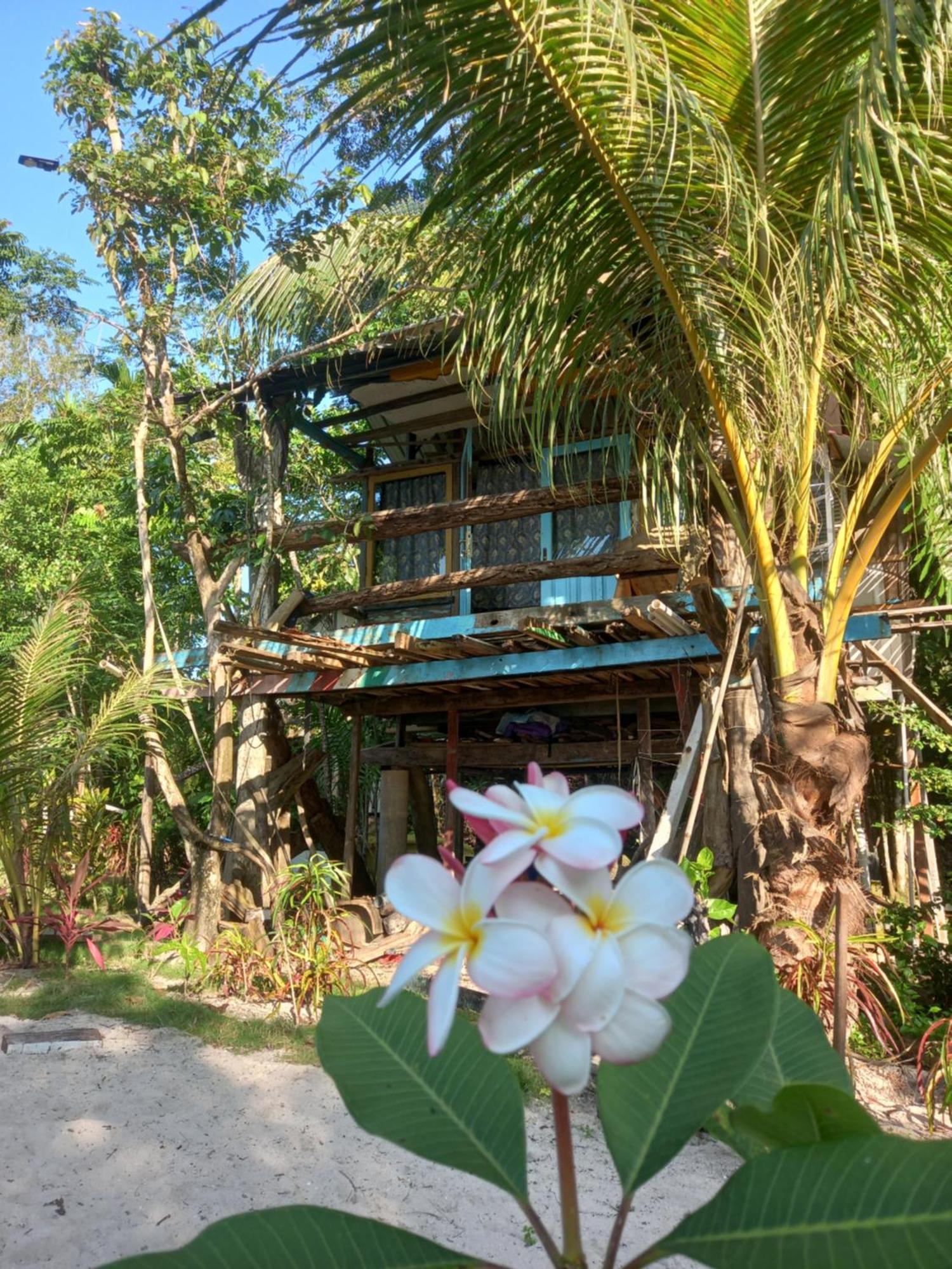 Sumatra Ecolodge Sungaipisang Habitación foto