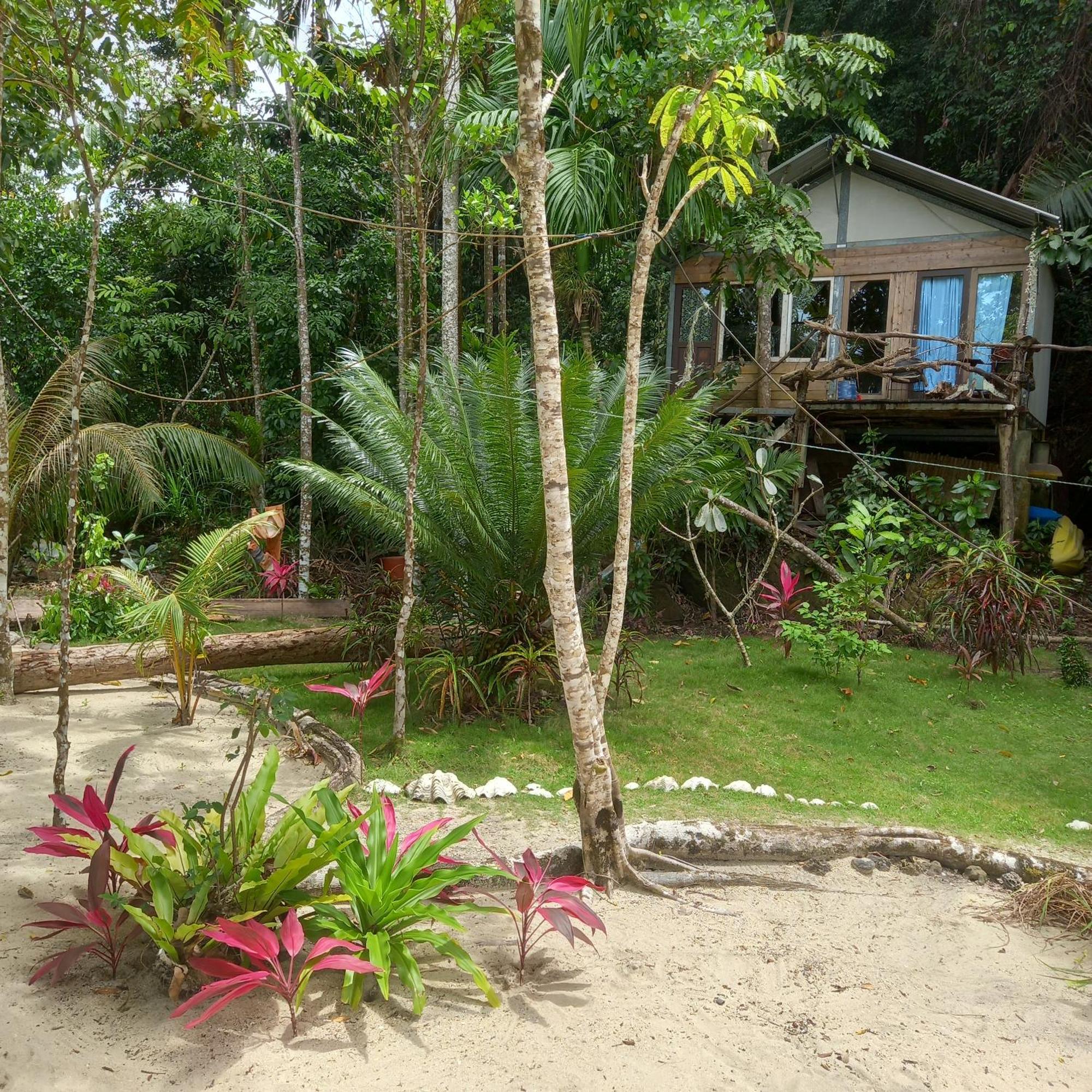 Sumatra Ecolodge Sungaipisang Habitación foto